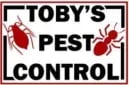 tobypest